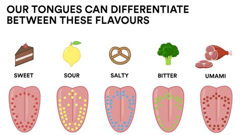 what does food taste like.